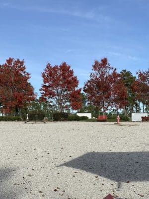 Fort Gordon Dog Park