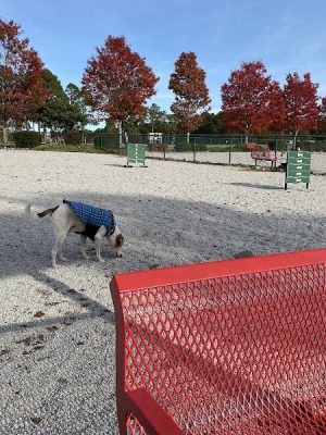 Fort Gordon Dog Park