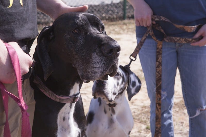 Fort Gordon Dog Park - Augusta, GA