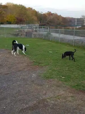 Augusta Dog Park