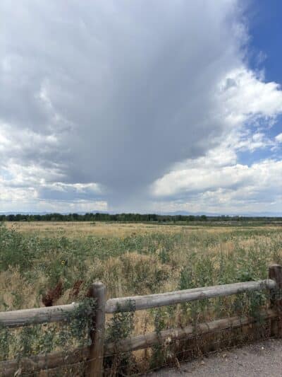 Cherry Creek ​Dog Of​f Leash Area (DOLA) - Aurora, CO