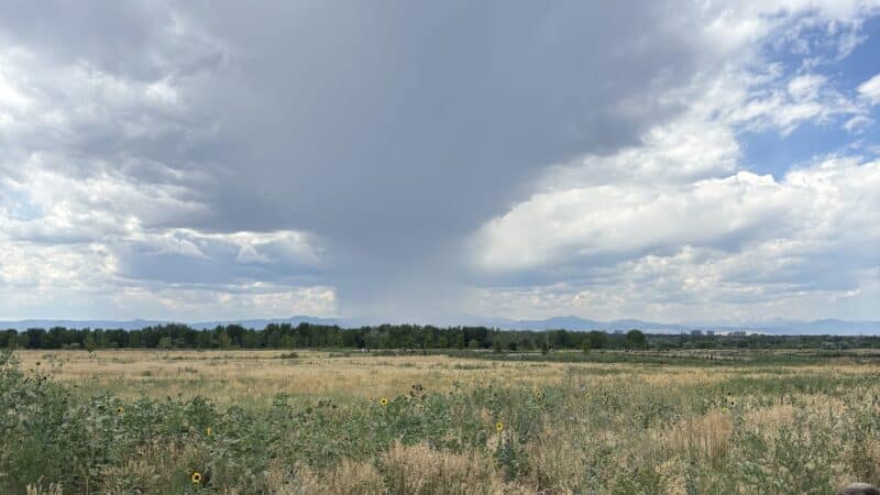 Cherry Creek ​Dog Of​f Leash Area (DOLA) - Aurora, CO