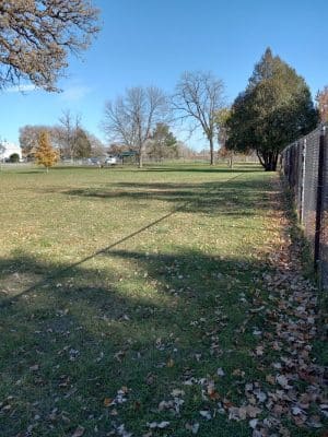 Austin Dog Park