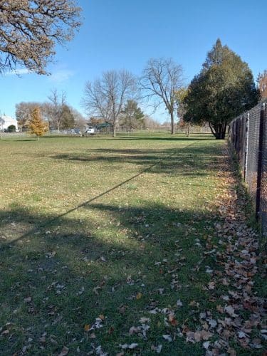 Austin Dog Park