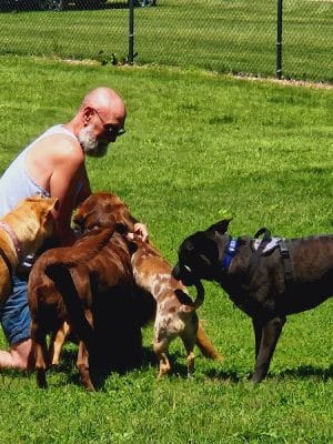 Austin Dog Park
