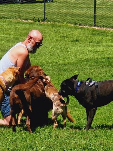 Austin Dog Park