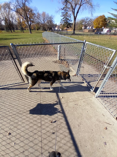 Austin Dog Park
