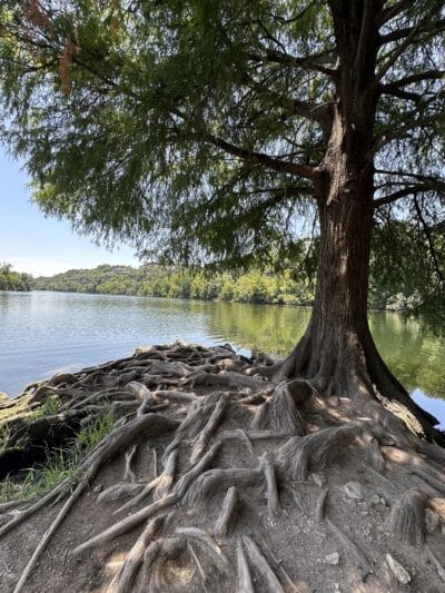 Red Bud Isle - Austin, TX
