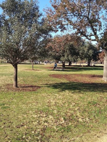Auditorium Shores Dog Park