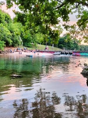 Dog Barton Springs