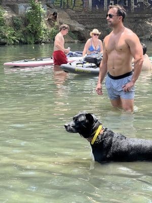 Dog Barton Springs