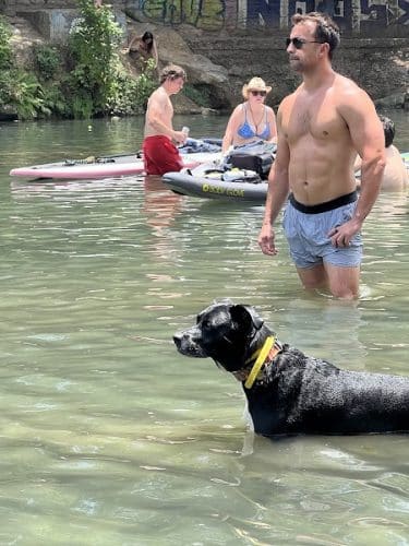 Dog Barton Springs