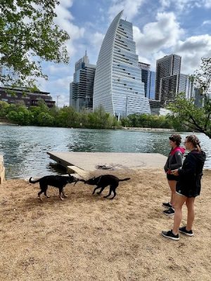 Dog Launch at Vic Mathias Shores