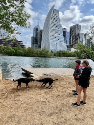 Dog Launch at Vic Mathias Shores