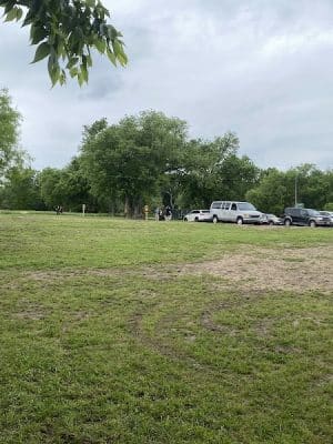 Dog Park Blue