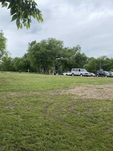 Dog Park Blue