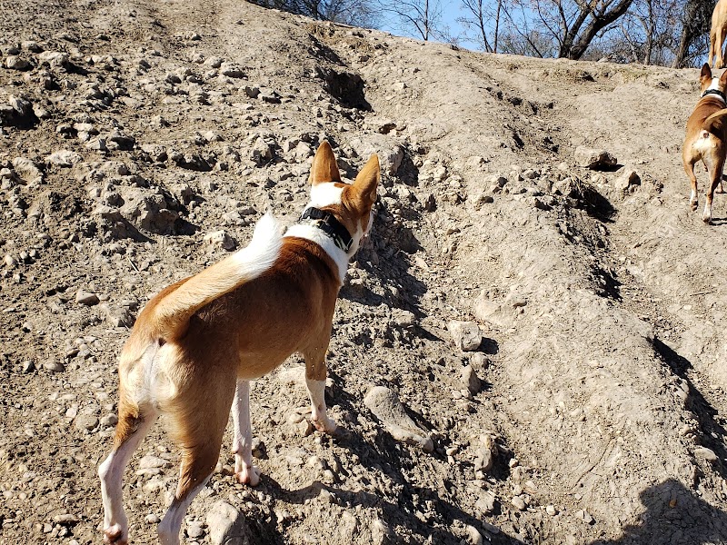 Dog Park Blue - Austin, TX