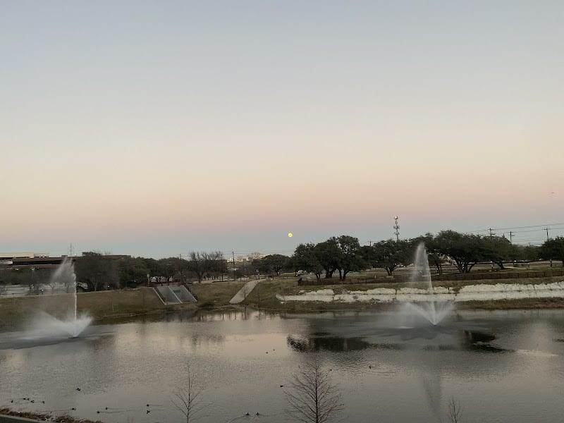 Domain Central Bark - Austin, TX
