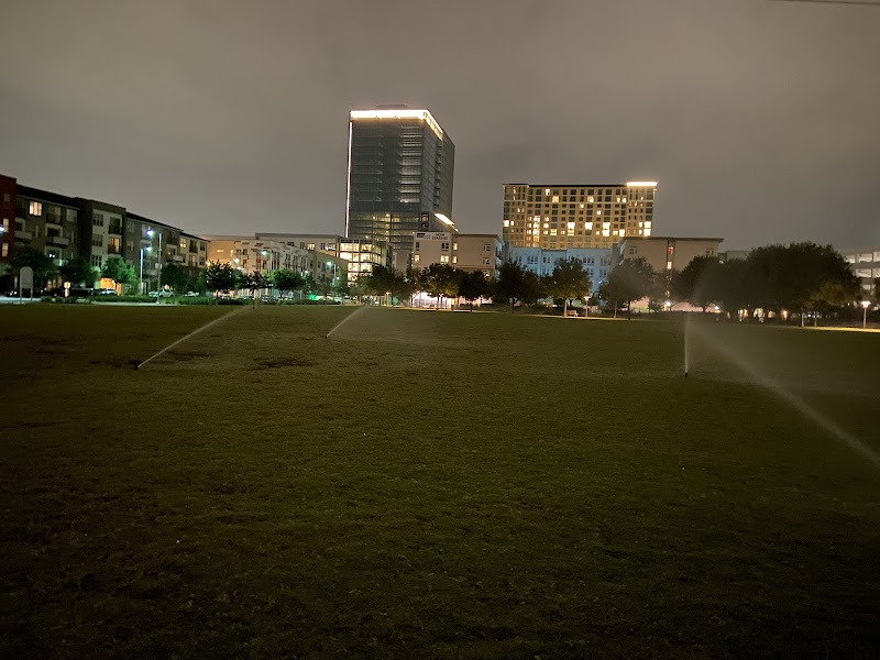 Domain Central Bark - Austin, TX