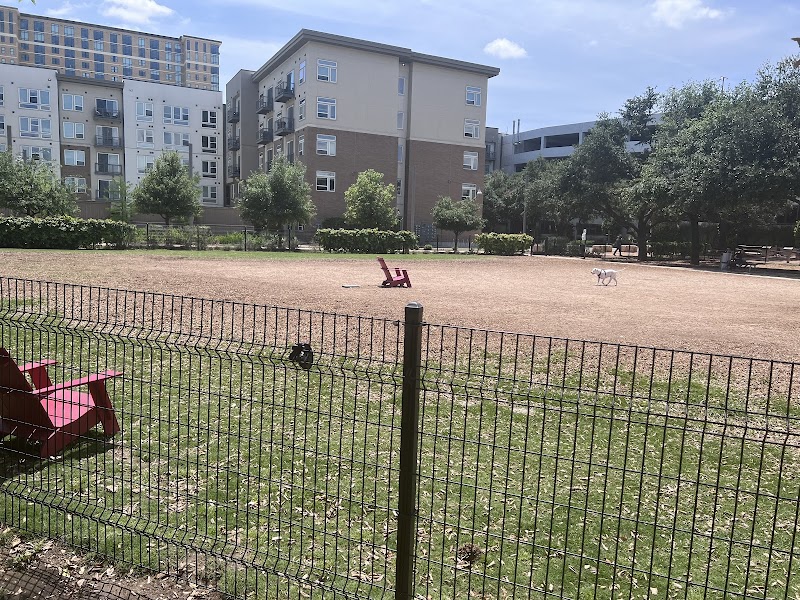 Domain Central Bark - Austin, TX