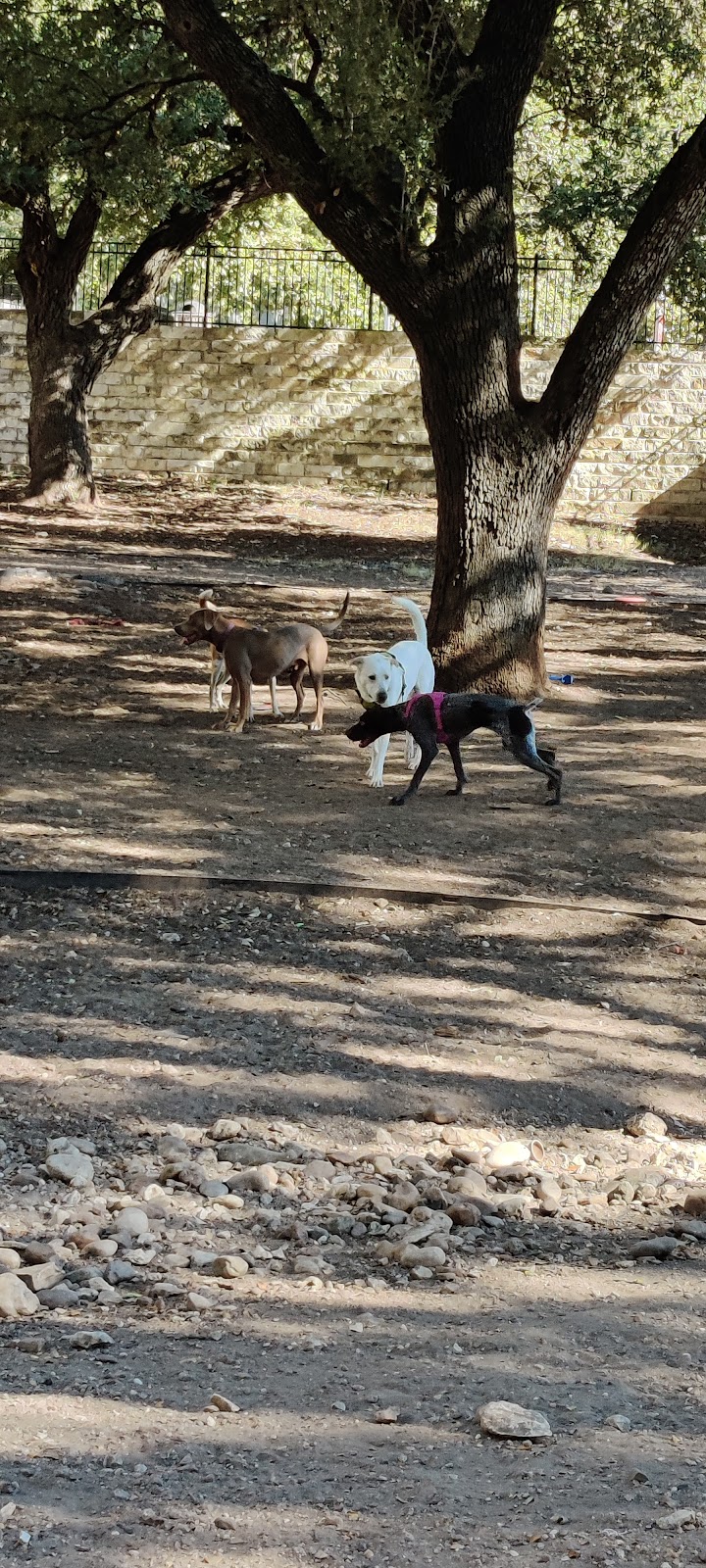 Hancock Dog Park - Austin, TX