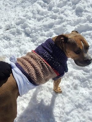 Hancock Dog Park