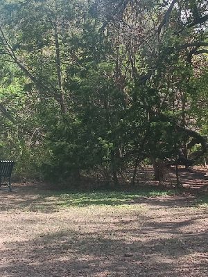 Mary Moore Searight Off Leash Trailhead