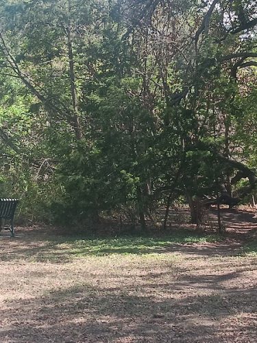 Mary Moore Searight Off Leash Trailhead