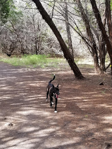 Mary Moore Searight Off Leash Trailhead