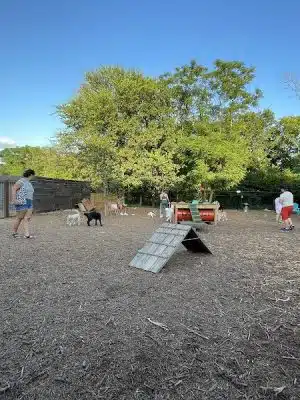 Neighbors Dog Park & Cafe
