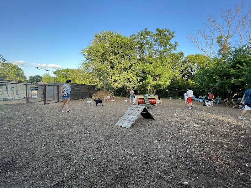 Neighbors Dog Park & Cafe - Austin, TX
