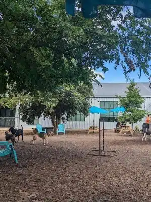 Neighbors Dog Park & Cafe