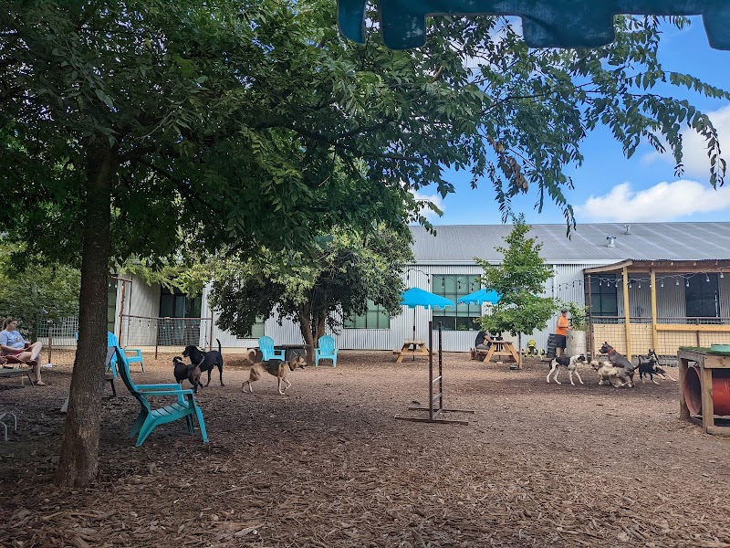 Neighbors Dog Park & Cafe - Austin, TX