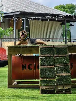 Neighbors Dog Park & Cafe