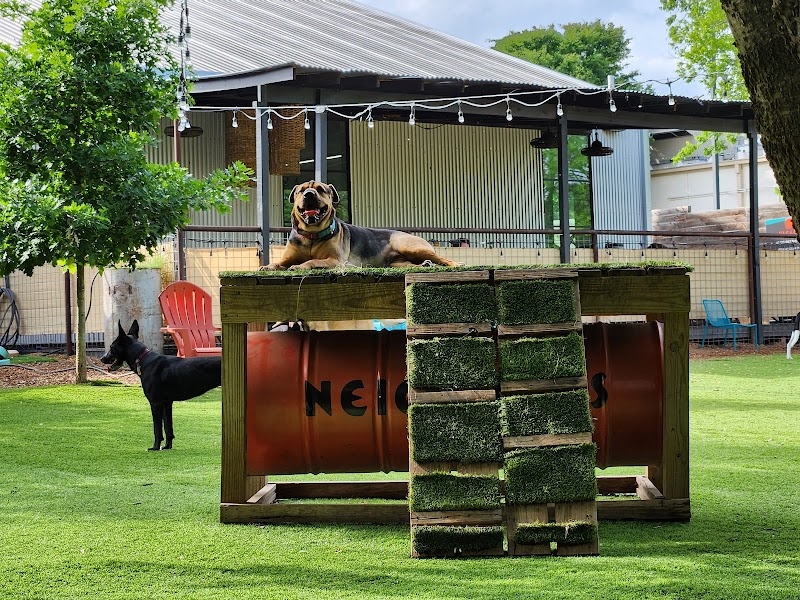 Neighbors Dog Park & Cafe - Austin, TX