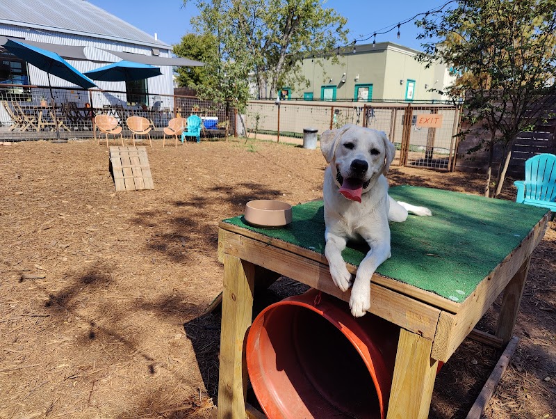 Neighbors Dog Park & Cafe - Austin, TX
