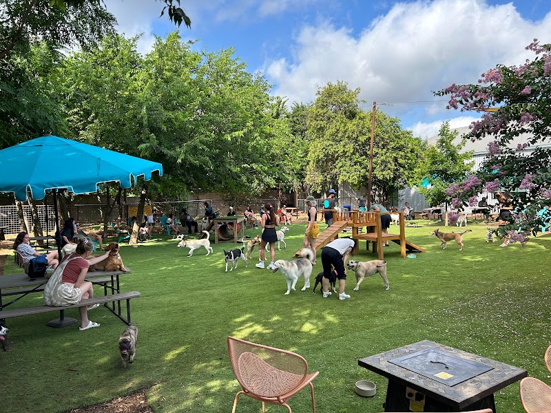 Neighbors Dog Park & Cafe - Austin, TX