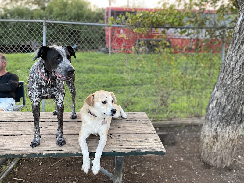Norwood Estate Dog Park on E. Riverside - Austin, TX