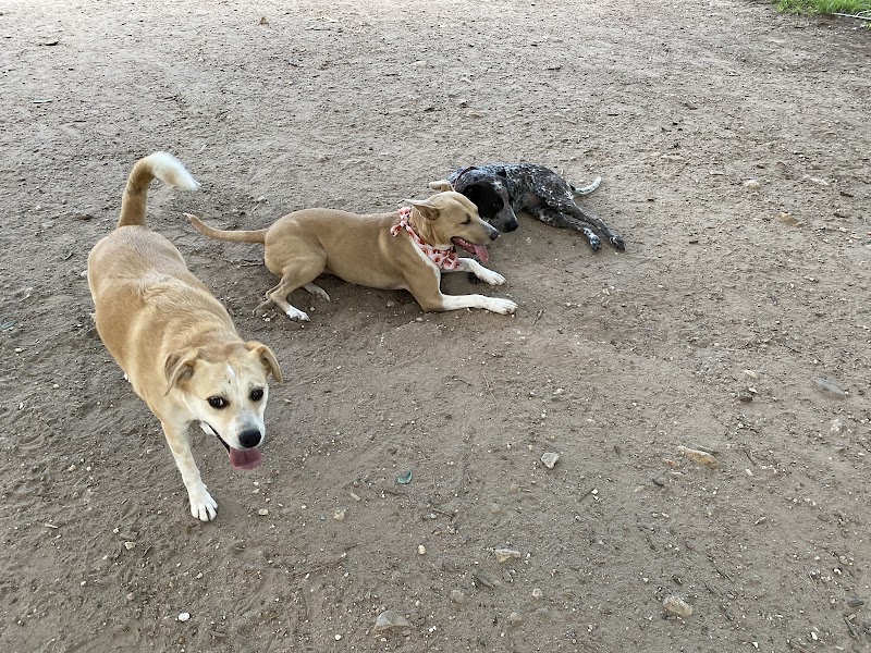 Norwood Estate Dog Park on E. Riverside - Austin, TX