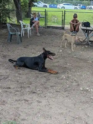 Norwood Estate Dog Park on E. Riverside