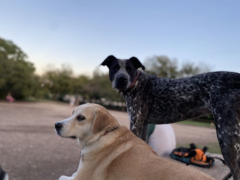 Norwood Estate Dog Park on E. Riverside - Austin, TX