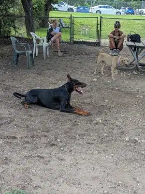 Norwood Estate Dog Park on E. Riverside