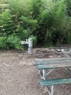 Norwood Estate Dog Park on E. Riverside