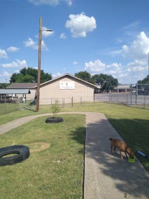 Pickle’s Place Dog Park
