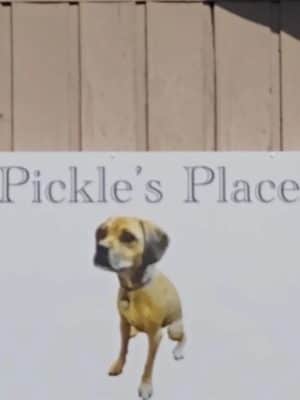 Pickle’s Place Dog Park