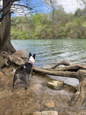 Red Bud Isle