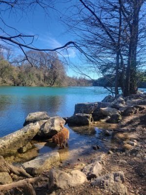 Red Bud Isle