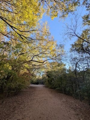 Red Bud Isle