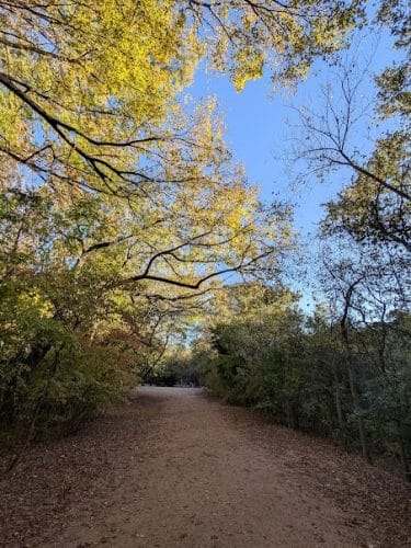 Red Bud Isle
