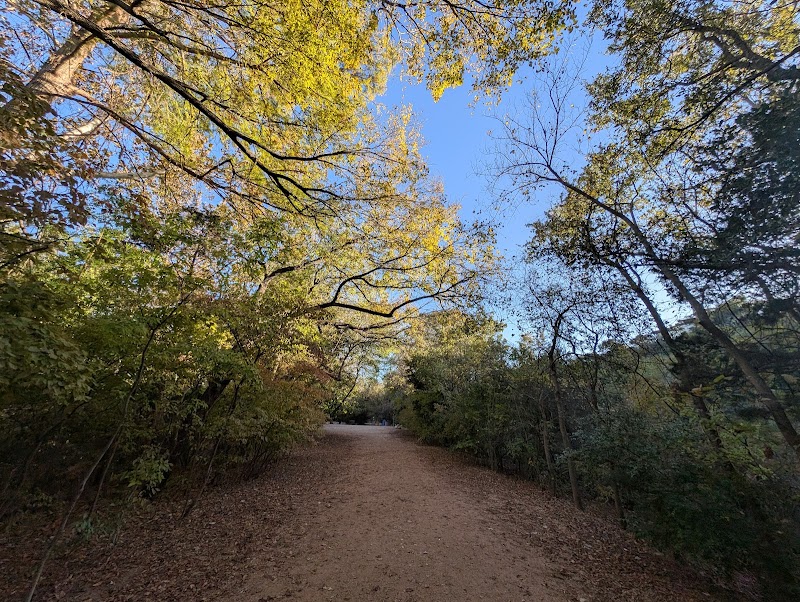 Red Bud Isle - Austin, TX